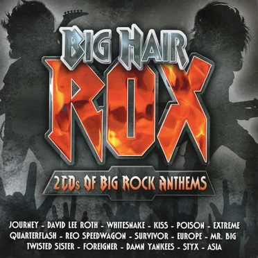 Big Hair Rox by Various Artists - album cover