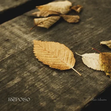 Reposo