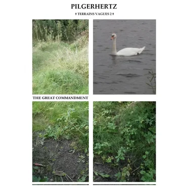The Great Commandment (Terrains vagues 2) by Pilgerhertz - album cover