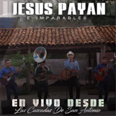 En vivo desde las cascadas de San Antonio