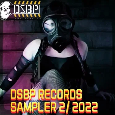 DSBP Records Sampler 2/22! by Various Artists - album cover