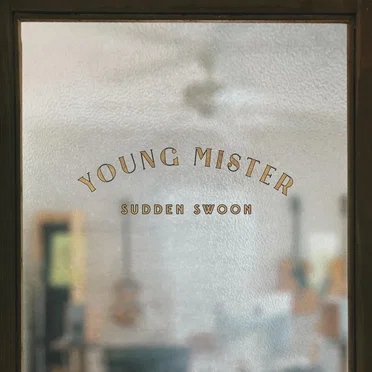 Sudden Swoon by Young Mister - album cover