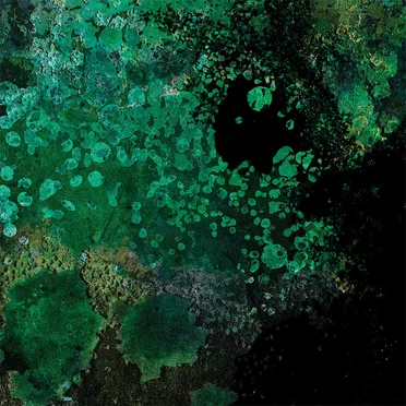 Breed in Me the Darkness: The Second Coming Mixes by Andrew Liles