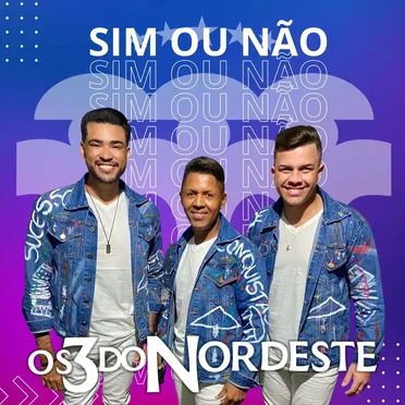 Sim ou Não by Os 3 do Nordeste - album cover