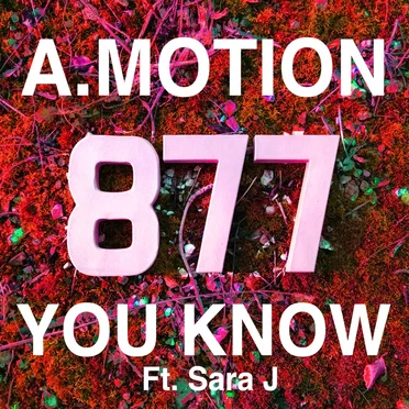 You Know by A.Motion - album cover