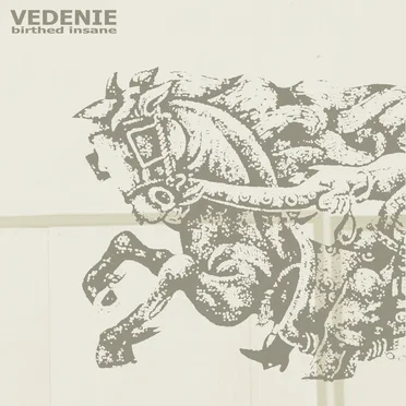 Birthed Insane by Vedenie - album cover