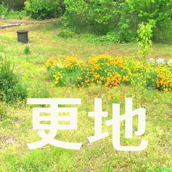 Vacant Lot