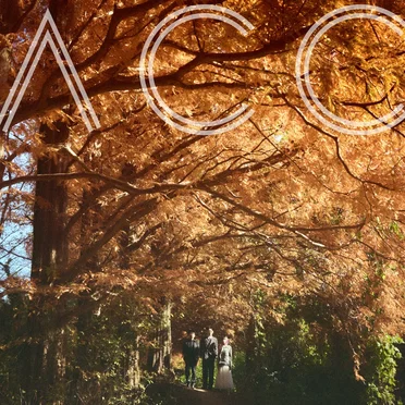 ヒカリ by Awesome City Club - album cover