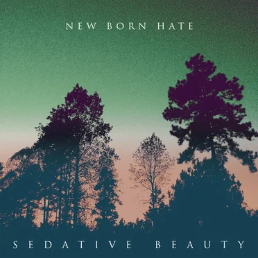 New Born Hate by Sedative Beauty - album cover