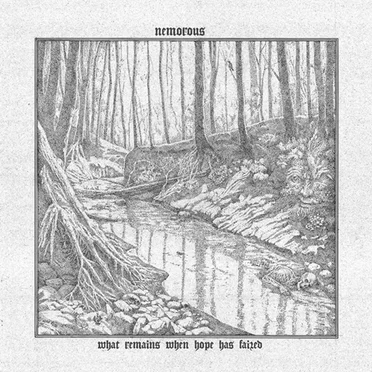 What Remains When Hope Has Failed by Nemorous - album cover