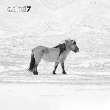 ADHD 7 by ADHD - album cover