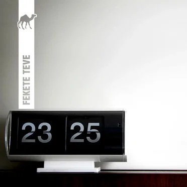 23:25 by Fekete Teve - album cover