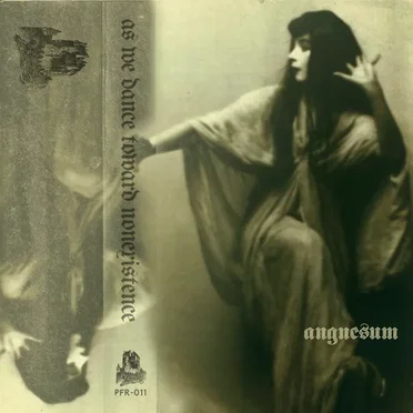 As We Dance Toward Nonexistence by Angnesum - album cover