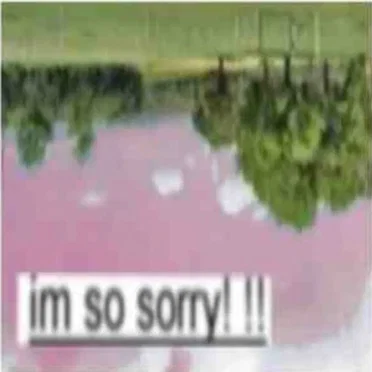 im so sorry! !!