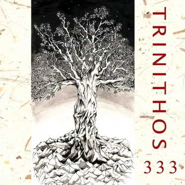 333 by Trinithos - album cover