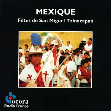 Mexique: Fêtes de San Miguel Tzinacapan by Various Artists - album cover