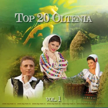 Top 20 Oltenia Vol. 1 by Various Artists - album cover