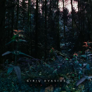 Remixes by Girių Dvasios - album cover