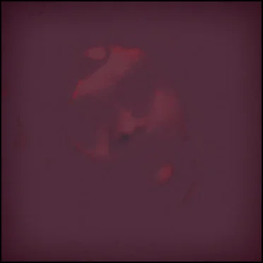 Phantasma