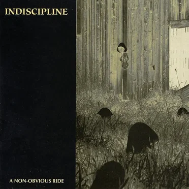 A Non-Obvious Ride by Indiscipline - album cover