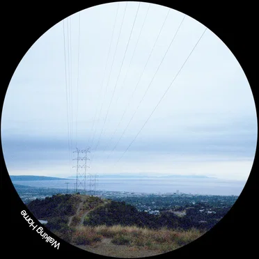 Walking Home by Target Demographic - album cover