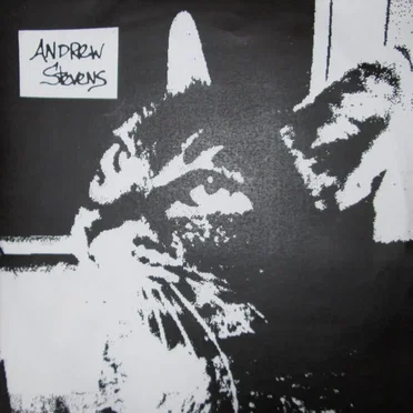 Andrew Stevens