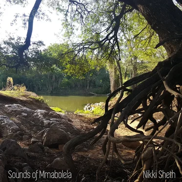 Sounds of Mmabolela by Nikki Sheth - album cover