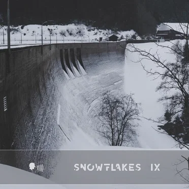 Snowflakes IX by Various Artists - album cover