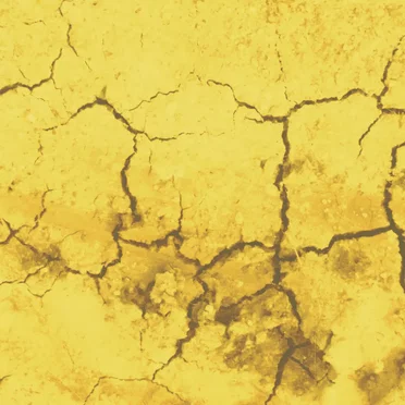 Desert Graves by Desert Graves - album cover