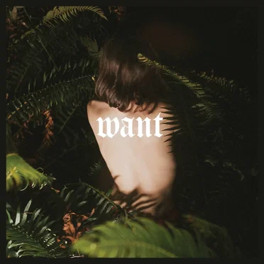 want by MAITA - album cover