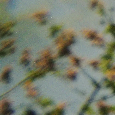 Fundamentals of Orchid Biology