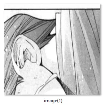 image(1)