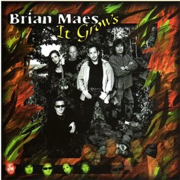 It Grows by Brian Maes - album cover