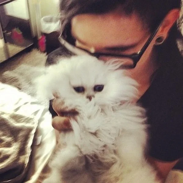 IT WASNT A PHASE IT LIVES IN MY VEINS