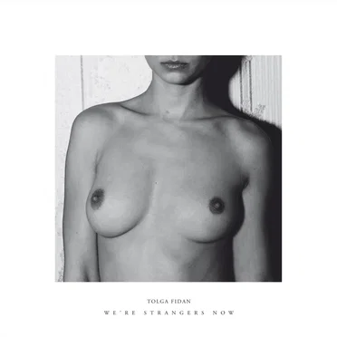 We're Strangers Now by Tolga Fidan - album cover