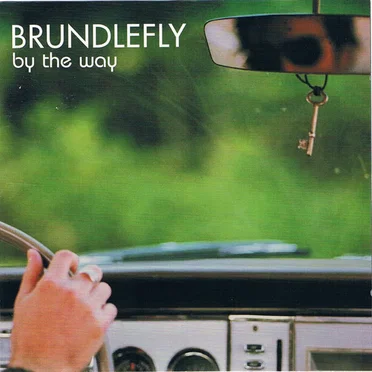 By the Way by Brundlefly - album cover