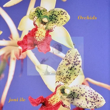 Orchids by Joni Île - album cover