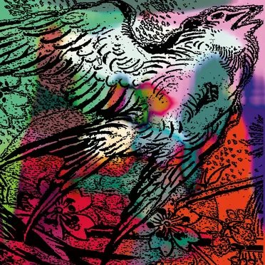 One Swallow Doesn't Make A Summer Part 8 by Various Artists - album cover