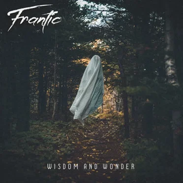 Wisdom and Wonder by Frantic - album cover