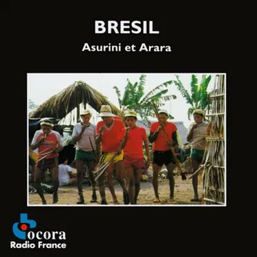 Brésil: Amérindiens d'Amazonie. Asurini et Arara by Various Artists - album cover