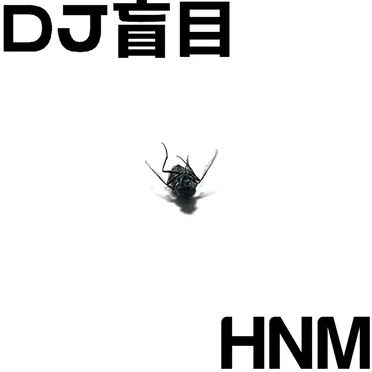 DJ盲目 / Harsh Noise Movement