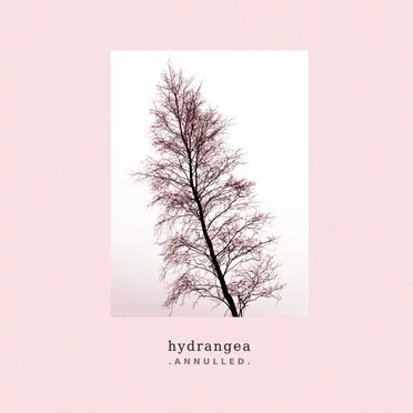 Dawn Lights by Hydrangea - album cover