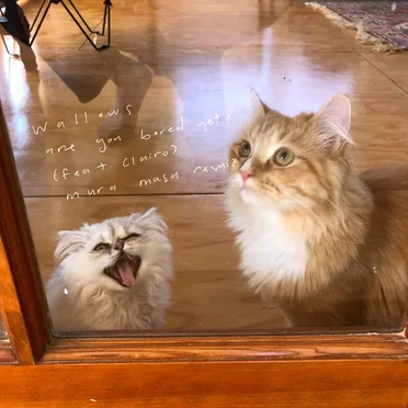 Are You Bored Yet? (Mura Masa remix)