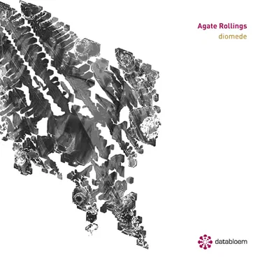 Diomede by Agate Rollings - album cover