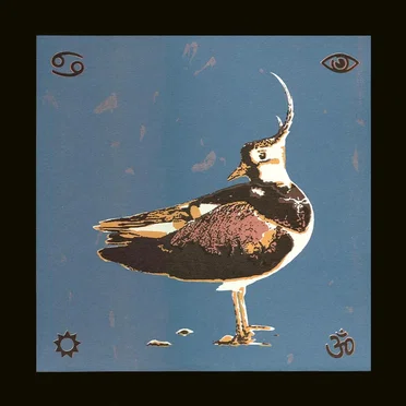 Earth, Spirit, and Sky by Lamp of the Universe - album cover