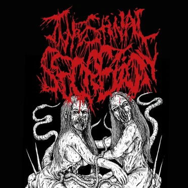 Intestinal Secretion