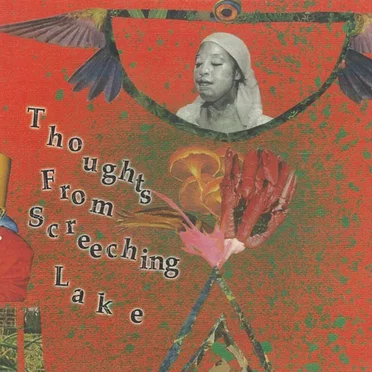 Thoughts From Screeching Lake by Various Artists - album cover