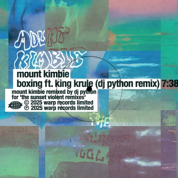 Boxing (DJ Python remix)