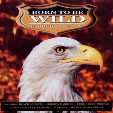 Born to Be Wild by Various Artists - album cover