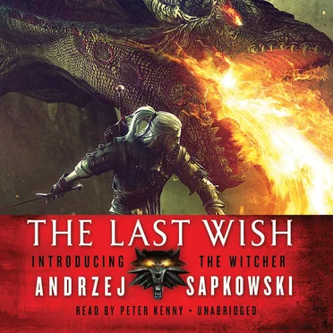 The Last Wish by Andrzej Sapkowski - album cover
